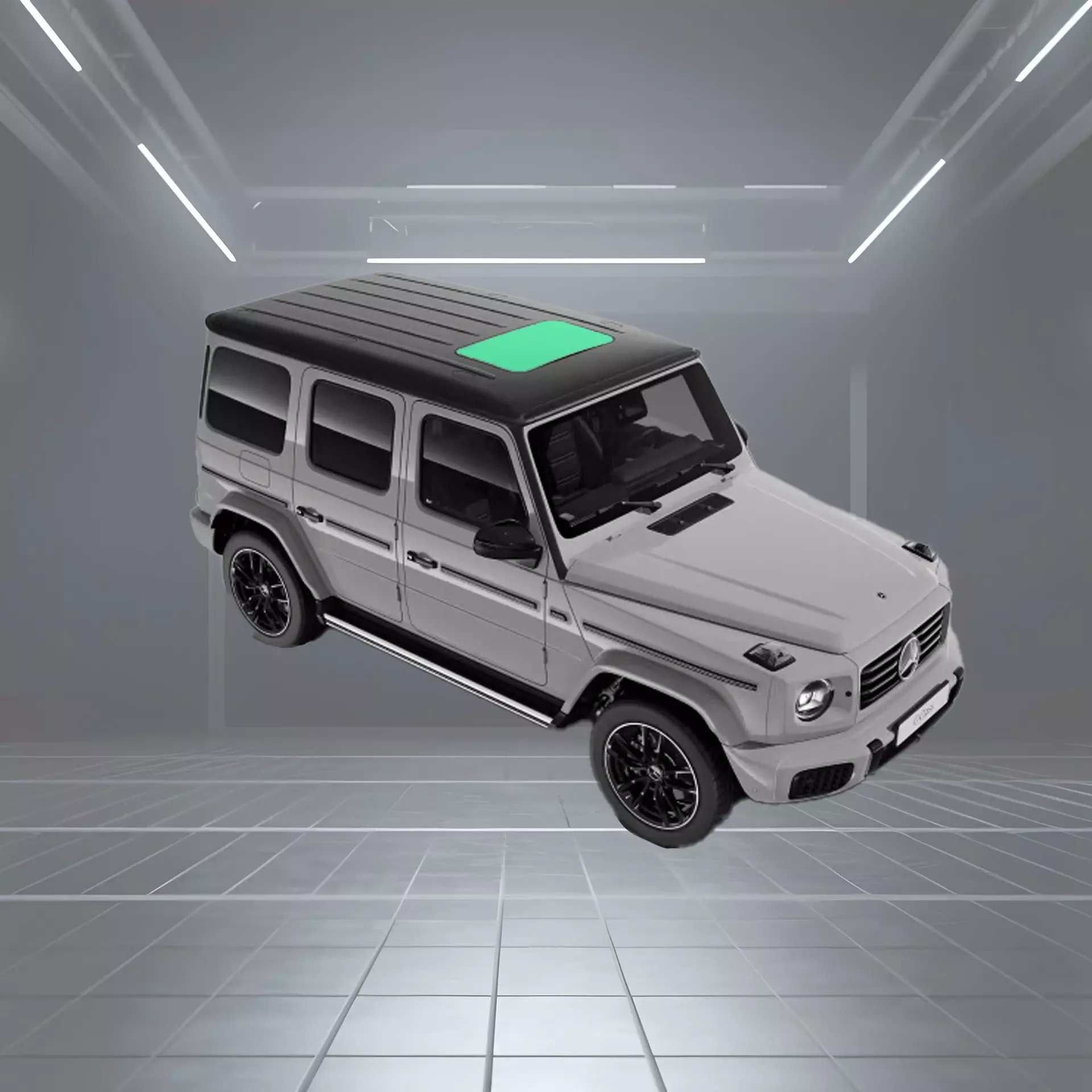 Panoramic Roof Protection