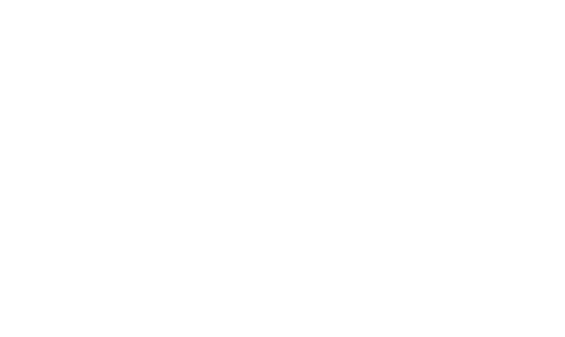 Xpel